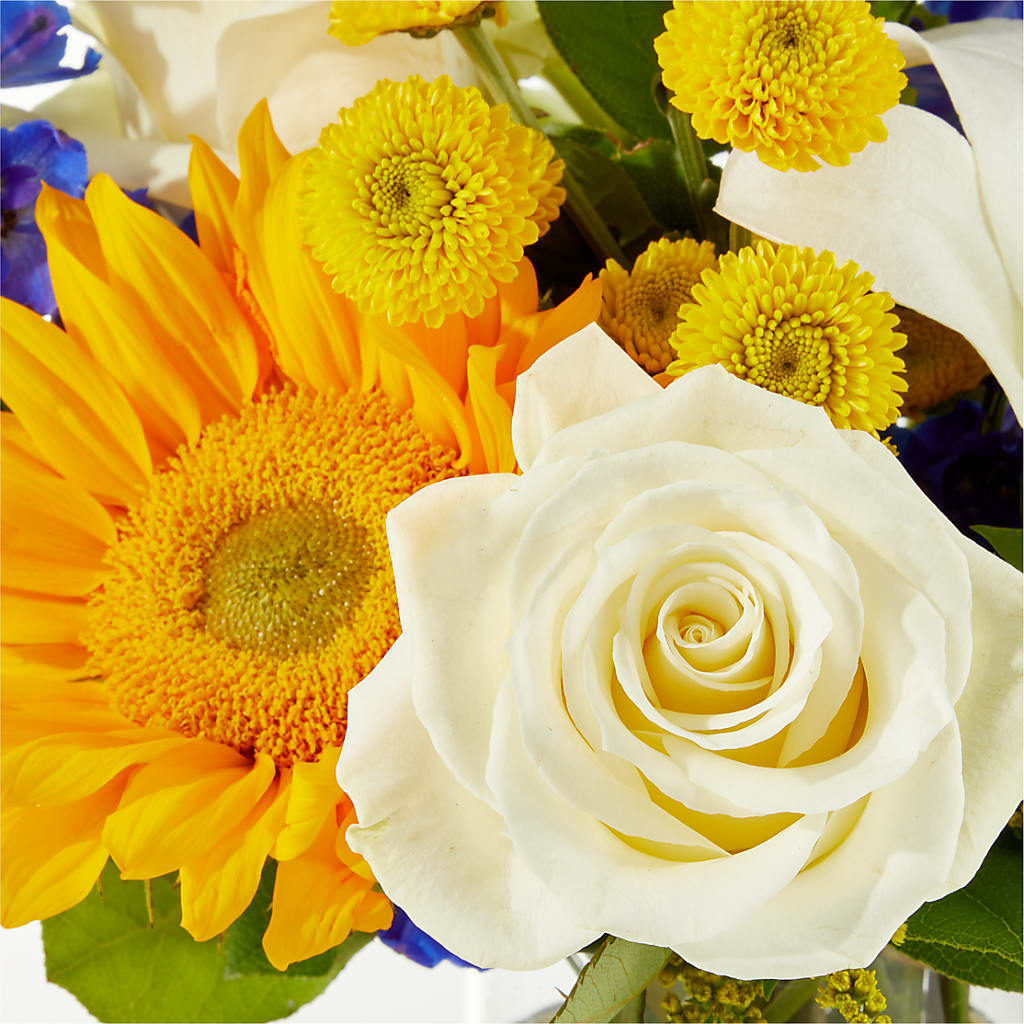Stargazing Bouquet –  Wheeling Flower Shop Inc, Wheeling WV
