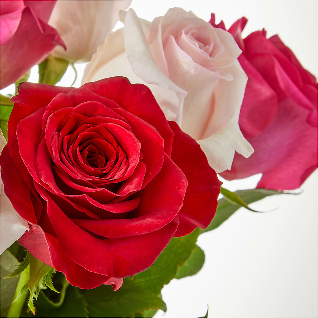 Charming Rose Bouquet –  Wheeling Flower Shop Inc, Wheeling WV