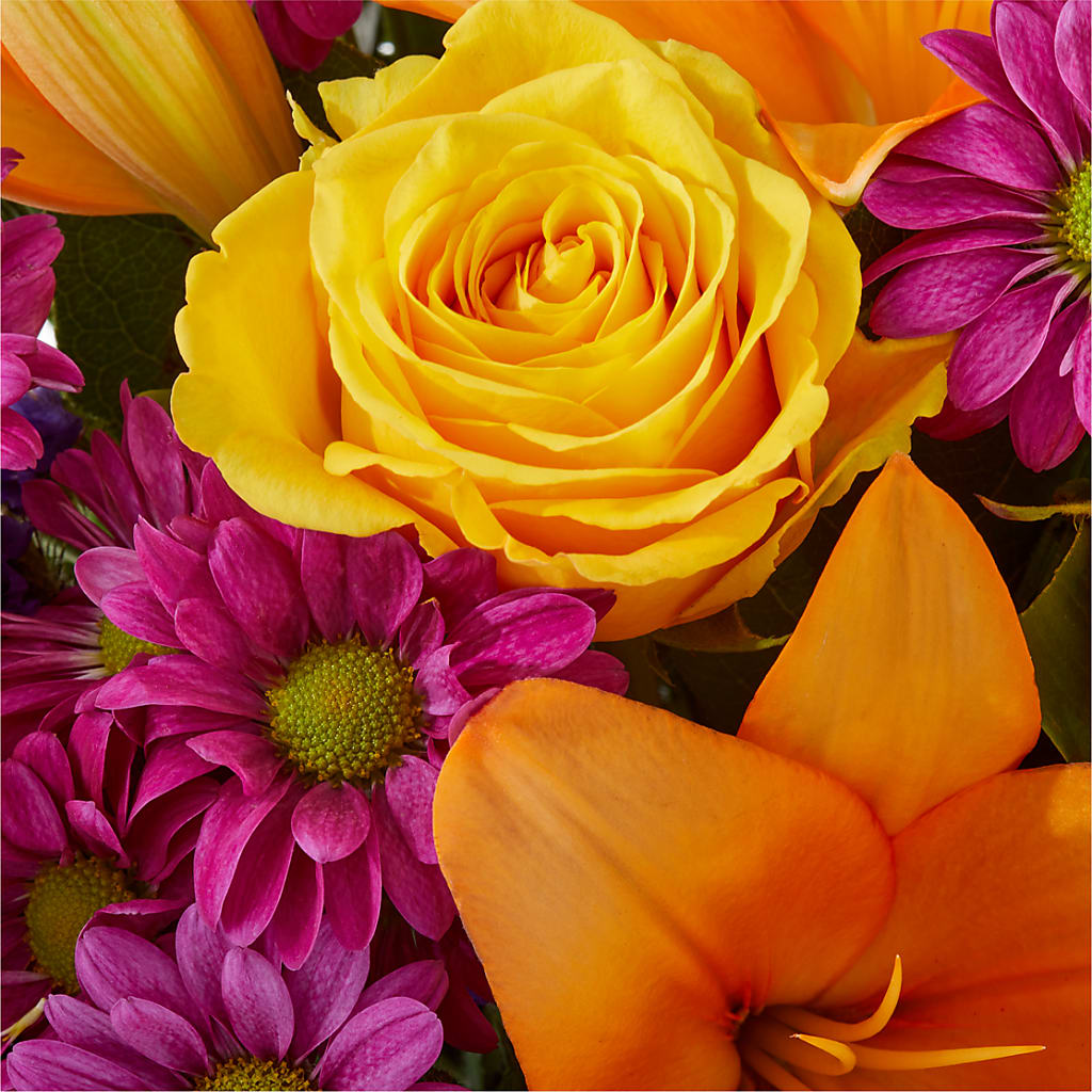 Colorful Visions Bouquet –  Wheeling Flower Shop Inc, Wheeling WV