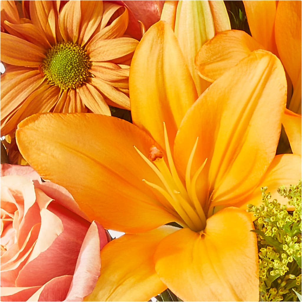 Harvest Hayride Bouquet –  Wheeling Flower Shop Inc, Wheeling WV