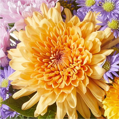 Countryside Bouquet –  Wheeling Flower Shop Inc, Wheeling WV
