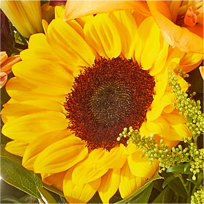 Seasons Change Bouquet –  Wheeling Flower Shop Inc, Wheeling WV