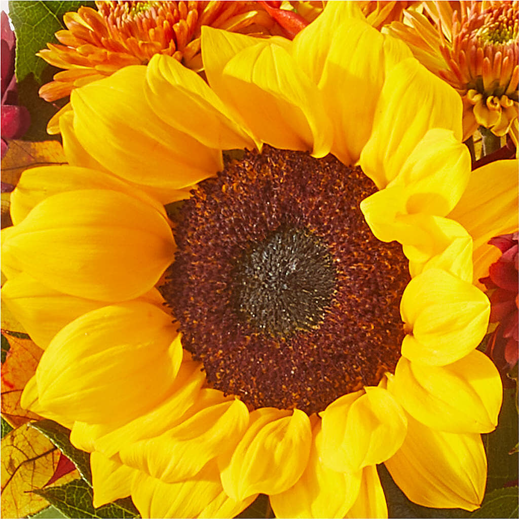 Sunny Side Bouquet –  Wheeling Flower Shop Inc, Wheeling WV