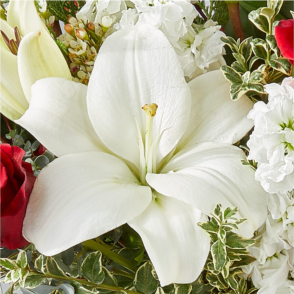 Twinkle Lights Bouquet –  Wheeling Flower Shop Inc, Wheeling WV