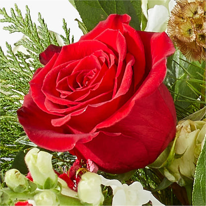 Deck the Halls Bouquet –  Wheeling Flower Shop Inc, Wheeling WV