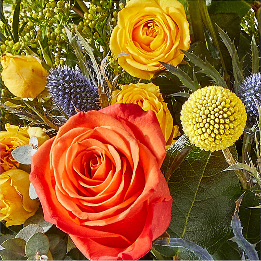 Disco Bouquet –  Wheeling Flower Shop Inc, Wheeling WV