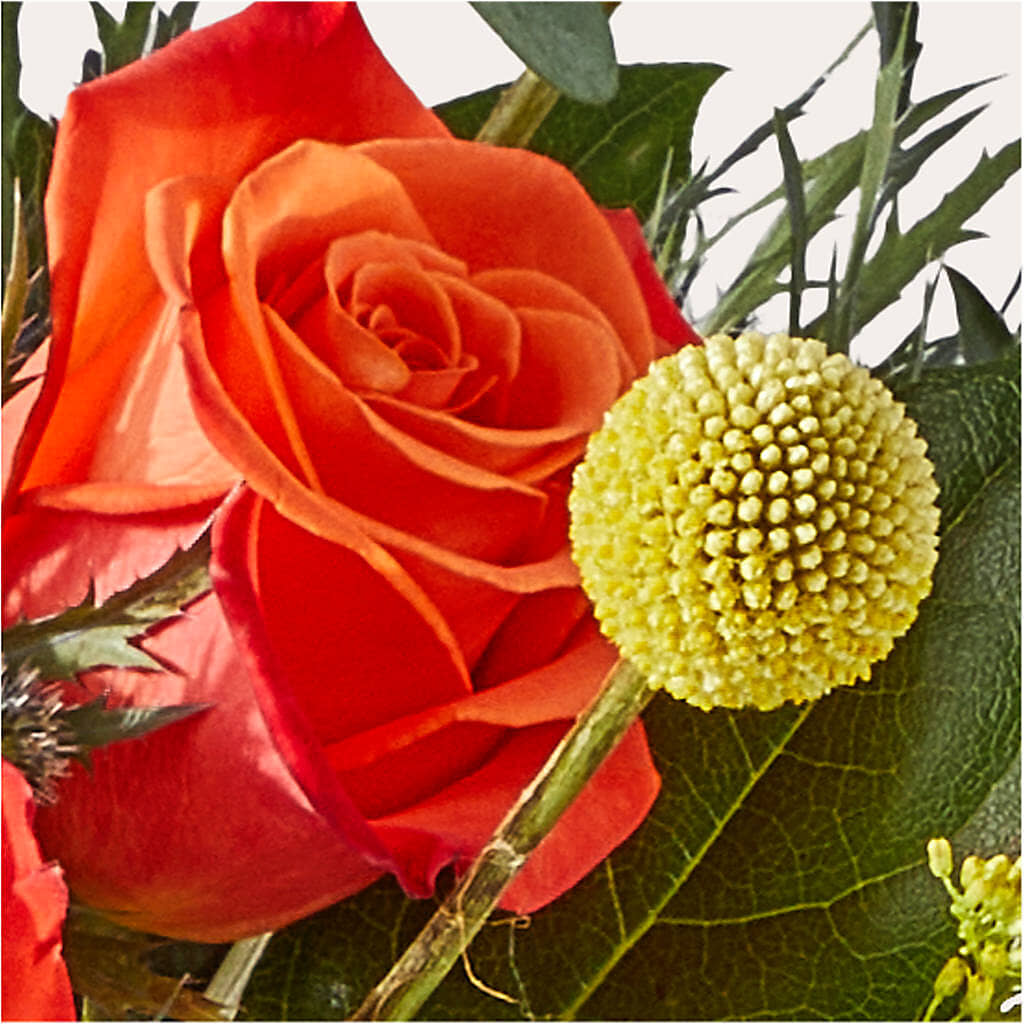Disco Bouquet –  Wheeling Flower Shop Inc, Wheeling WV