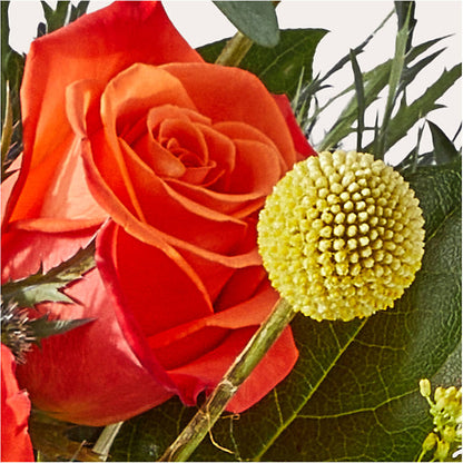 Disco Bouquet –  Wheeling Flower Shop Inc, Wheeling WV
