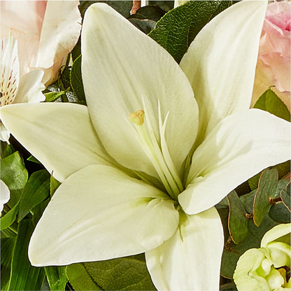 Ballet Slippers Bouquet –  Wheeling Flower Shop Inc, Wheeling WV