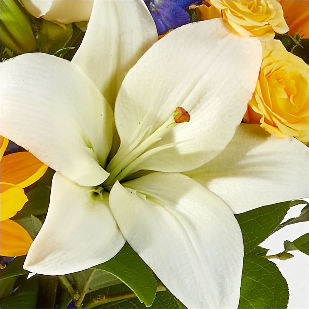 Wonderfully Sunny Bouquet –  Wheeling Flower Shop Inc, Wheeling WV