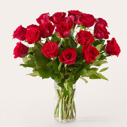 The One Red Rose Bouquet –  Wheeling Flower Shop Inc, Wheeling WV
