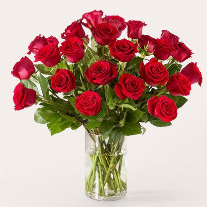 The One Red Rose Bouquet –  Wheeling Flower Shop Inc, Wheeling WV