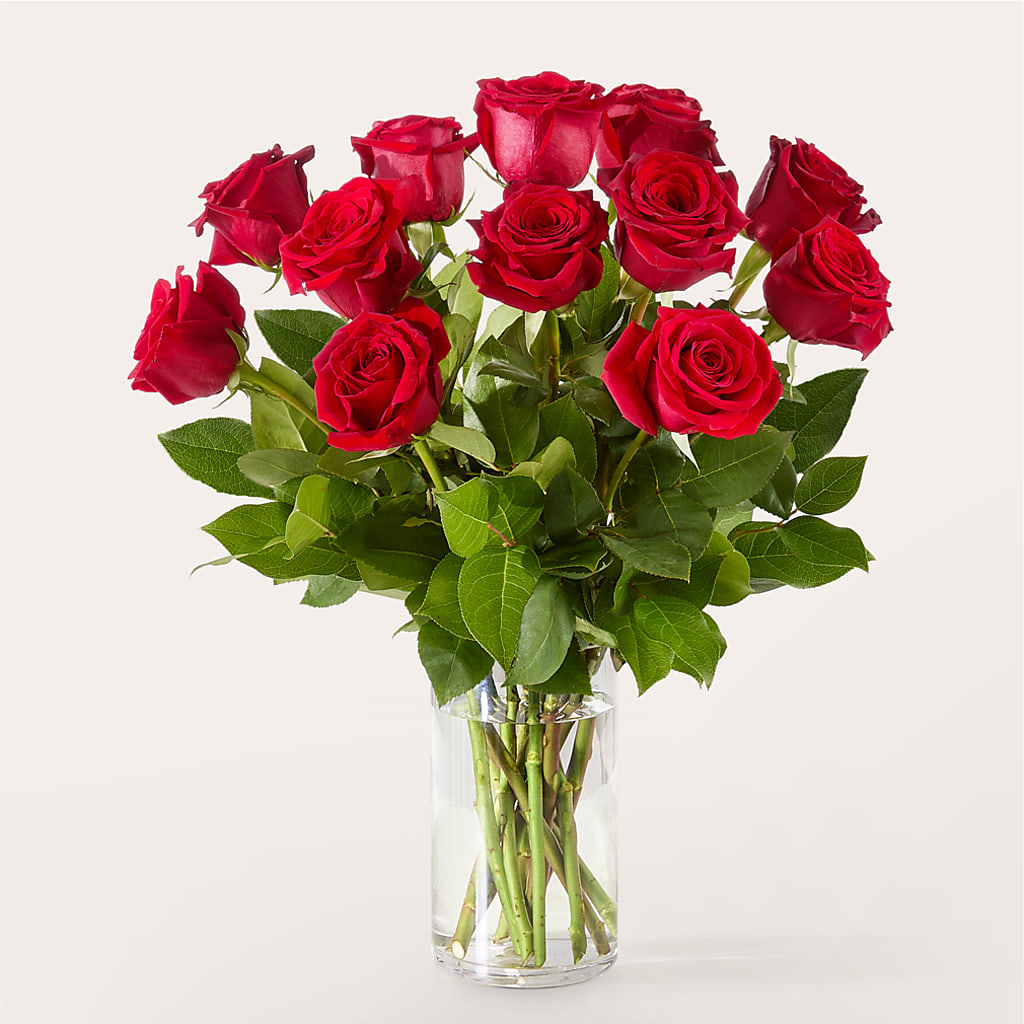 The One Red Rose Bouquet –  Wheeling Flower Shop Inc, Wheeling WV