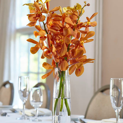 Orange Mokara Bud Vase –  Wheeling Flower Shop Inc, Wheeling WV