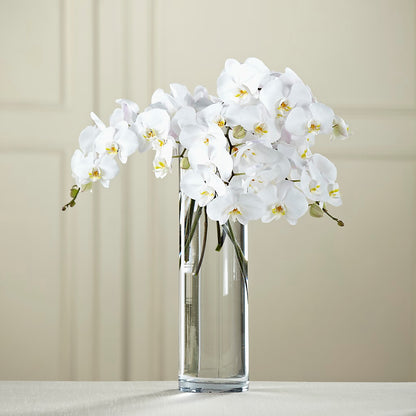 White Phalaenopsis Bouquet –  Wheeling Flower Shop Inc, Wheeling WV