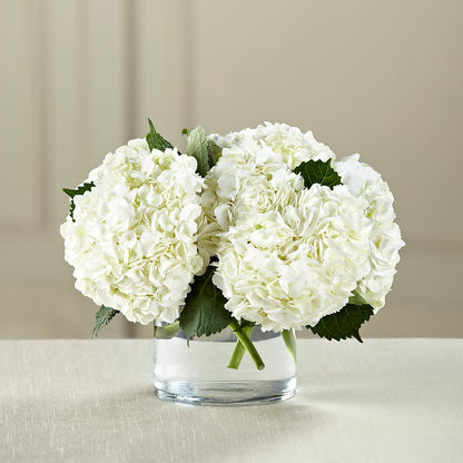 White Hydrangea Bouquet –  Wheeling Flower Shop Inc, Wheeling WV